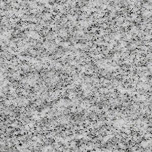 Shell Grey granite